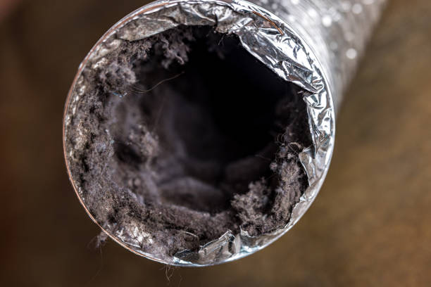 Best Professional Duct Cleaning Services  in Churubusco, IN