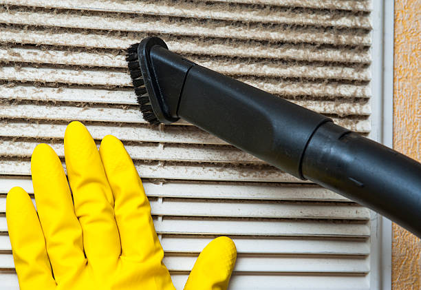 Best Affordable Duct Cleaning Services  in Churubusco, IN